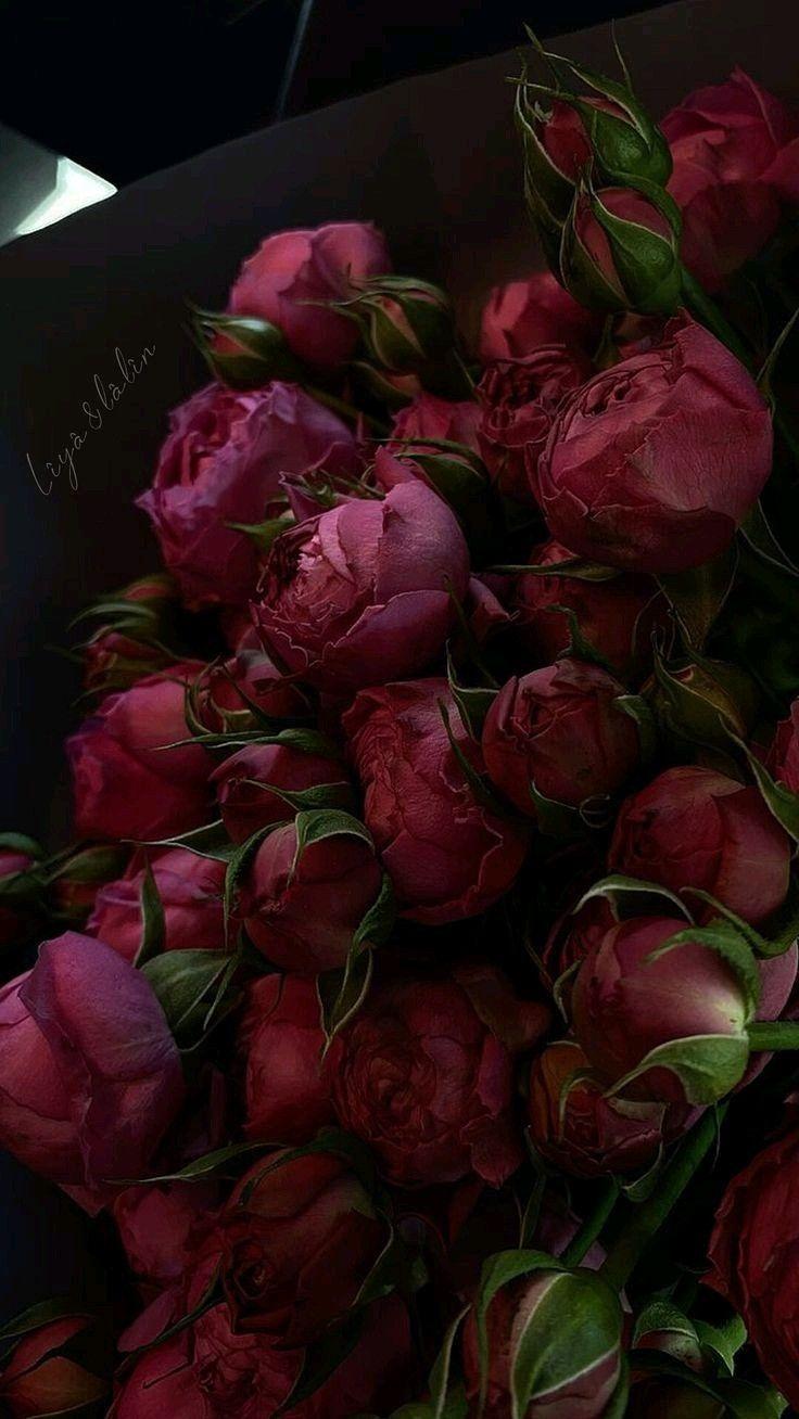 Sapphire Twilight Elegance Arrangement